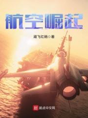航空崛起1979