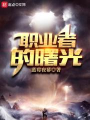 职业的光辉