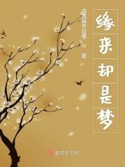 缘来梦一场
