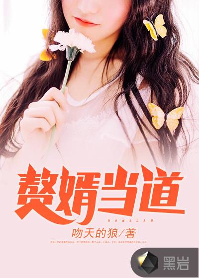 赘婿当道赘婿当道