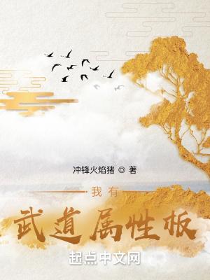 我有一个武道面板起点