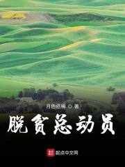 全国脱贫攻坚总结表彰大会现场直播视频