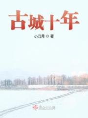 古城十年窖多少钱一瓶