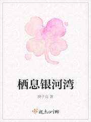 银河湾小区户型图