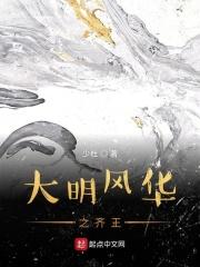 大明风华电视