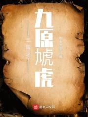 三国之谋伐九桃