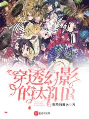 穿透幻影的太阳第14集