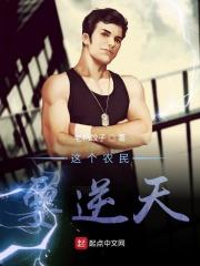 逆天小农民txt