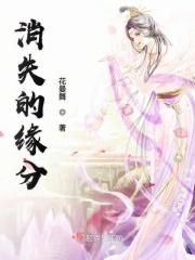 消失的初恋 百科
