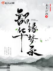 电视剧韶华如梦剧情