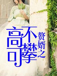 赘婿之高不可攀叶辰全文