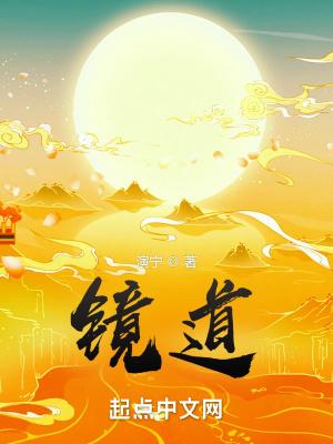 镜道眼镜片