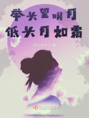 低头做报表