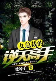 叶倾城楚天辰名