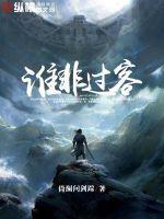 谁是过客谁是一生的意思是