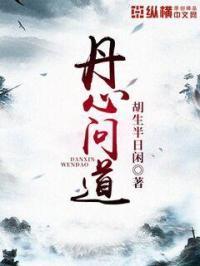 丹心什么意思?