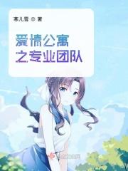 爱情公寓组队的