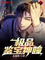 极品鉴宝医圣