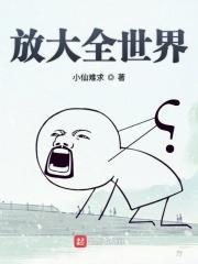 可放大的世界地图
