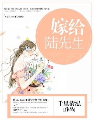 唯对你钟情免费阅读