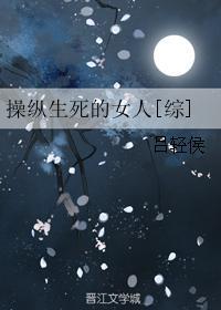 操纵 意思