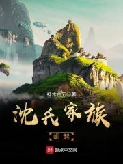 沈氏家族崛起百科