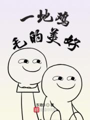 关于一地鸡毛的句子