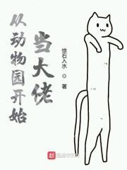 开局从动物进化的