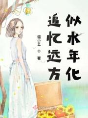 追忆似水年华全部意思