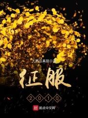 征服2009在线观看完整版