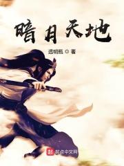 天神暗月皮肤