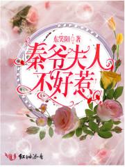 秦夫人无错