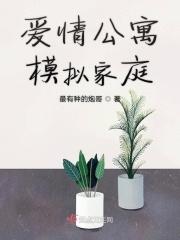 爱情公寓家装版游戏