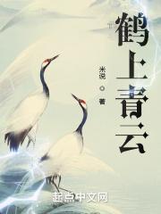 鹤云到底是谁