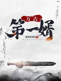 万古第一婿全本TXT
