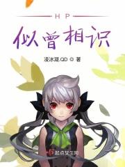 似曾相知
