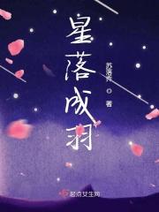 羽落星辰什么意思