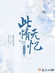 此情无解是什么意思