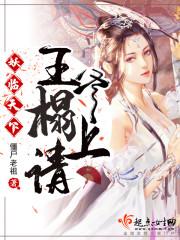 妖孽王爷下堂妻免费阅读全文