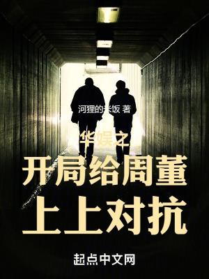 华娱之2000完整版