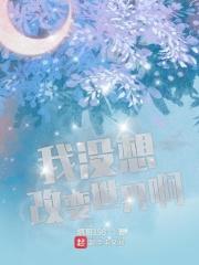 我不想改变世界歌词