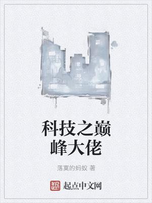 科技之巅峰大佬吧