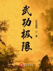 武功功力