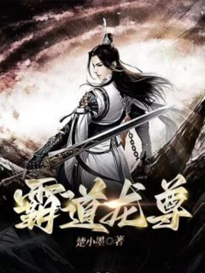 霸道龙尊段飞免费阅读全文