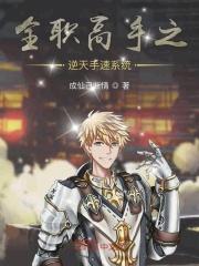 全职高手之系统攻略