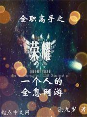 全职高手网友