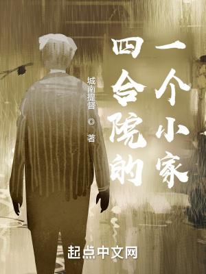 四合院的一个小家 城南提督