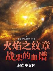 火焰纹章纹章之力