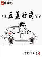 开五菱的都是高手