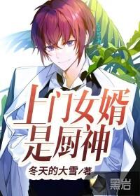 上门女婿是神医的